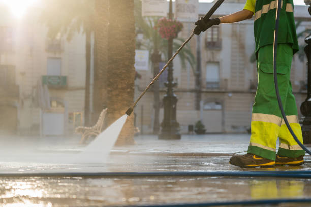 Best Solar Panel Cleaning  in Hill N Dale, FL